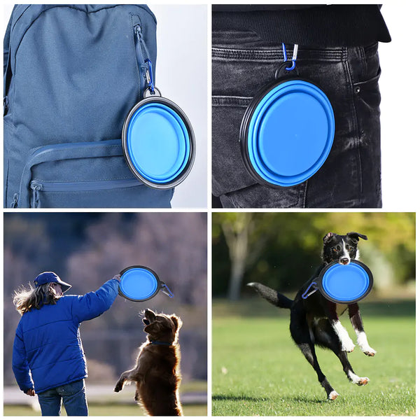 Collapsible Pet Bowel