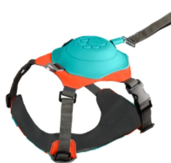 Adjustable Dog Harness for Outdoor Training