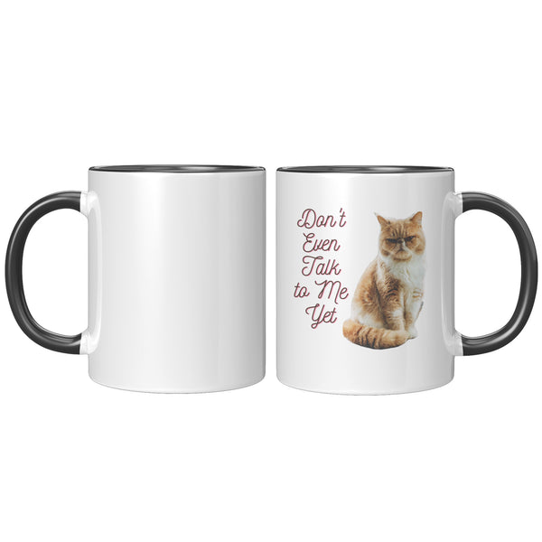 Don't Talk to Me Yet  (Special Cat Lover 11oz Coffee Mug)