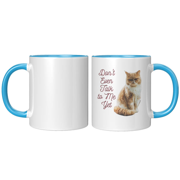 Don't Talk to Me Yet  (Special Cat Lover 11oz Coffee Mug)