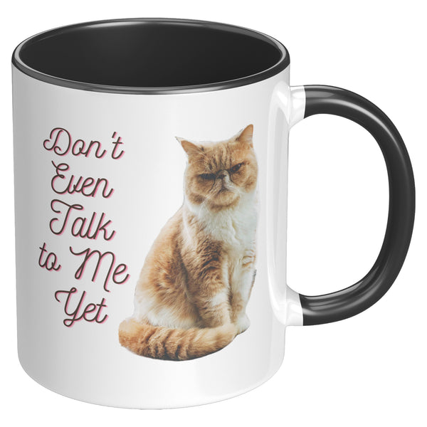 Don't Talk to Me Yet  (Special Cat Lover 11oz Coffee Mug)