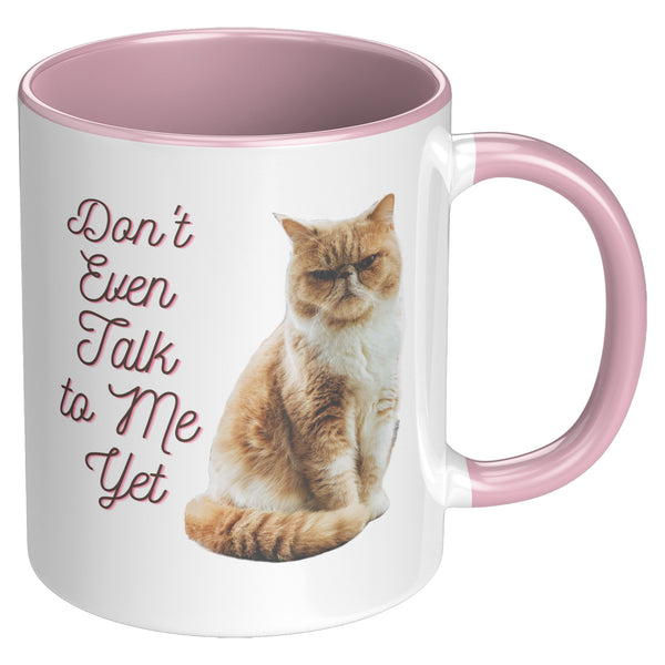 Don't Talk to Me Yet  (Special Cat Lover 11oz Coffee Mug)