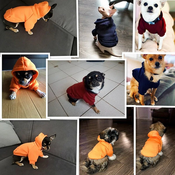 Pet Clothes For Small Dogs