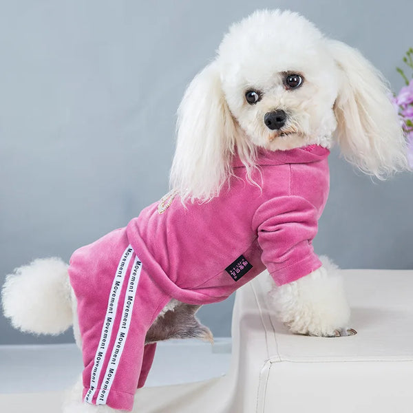 Pet Clothing Four-legged Fashion Letter Pet Dog Clothes   Dogs Hoodie Sweatshirt One-piece  Jumpsuit Chihuahua Clothes