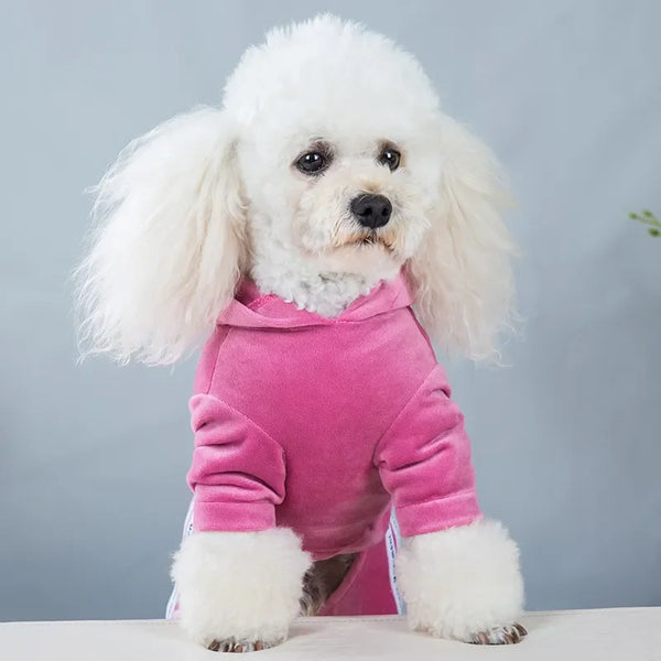 Pet Clothing Four-legged Fashion Letter Pet Dog Clothes   Dogs Hoodie Sweatshirt One-piece  Jumpsuit Chihuahua Clothes