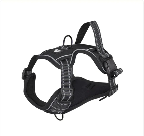 Reflective Dog Harness with Leash