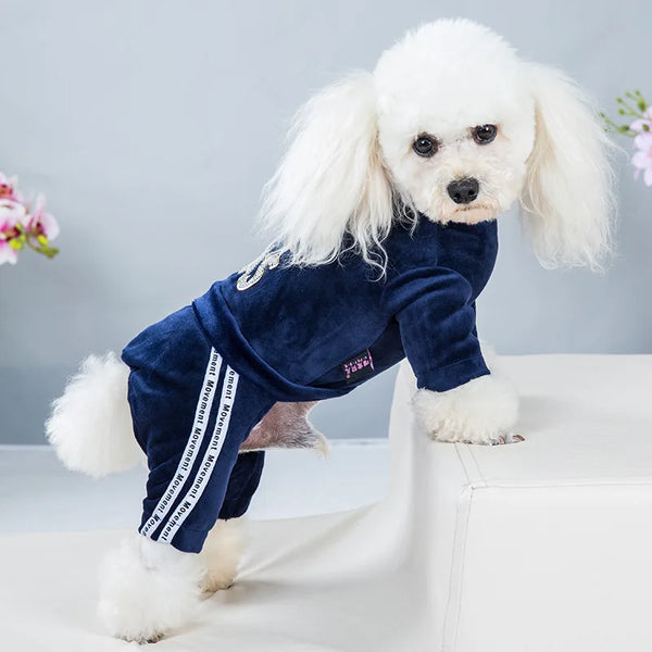 Pet Clothing Four-legged Fashion Letter Pet Dog Clothes   Dogs Hoodie Sweatshirt One-piece  Jumpsuit Chihuahua Clothes