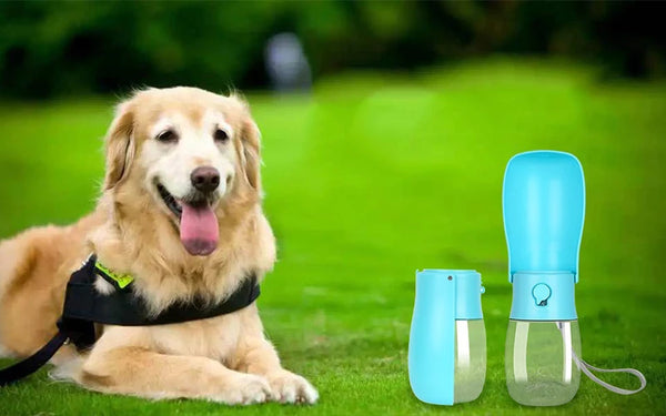 Original Design 300 ml Portable Pet Dog Water Bottle for Walking Feeding Dogs Folded Bottle Water Dispenser