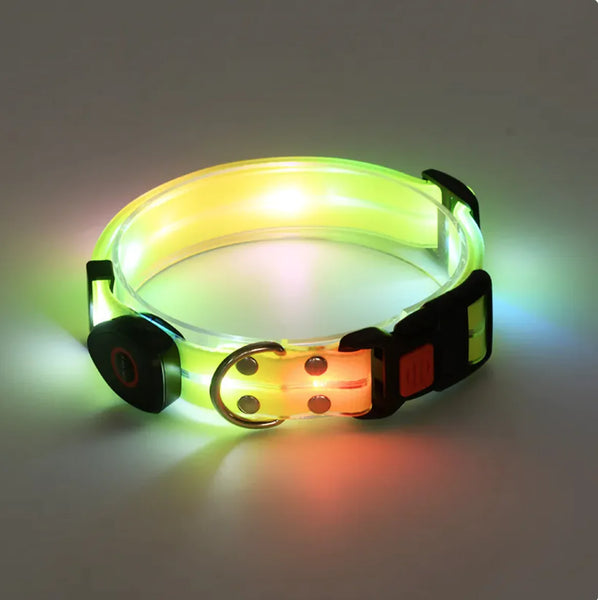 Rechargeable LED Pet Collar with Nylon Leash