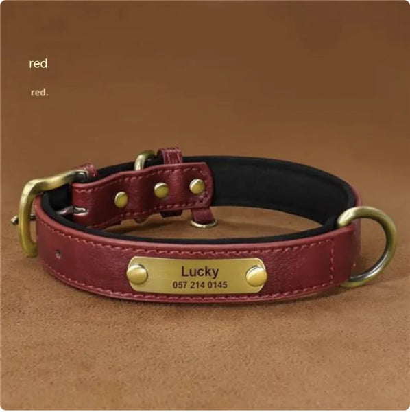 Personalized Engraved Dog Collar – Anti-Loss Design