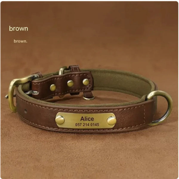 Personalized Engraved Dog Collar – Anti-Loss Design