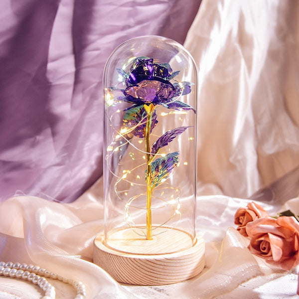 Gift for Mom Beauty and The Beast Preserved Roses In Glass Galaxy Rose Flower LED Light Artificial Flowers Gift for Women Girls