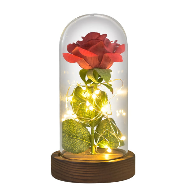 Gift for Mom Beauty and The Beast Preserved Roses In Glass Galaxy Rose Flower LED Light Artificial Flowers Gift for Women Girls