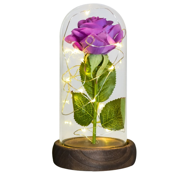 Gift for Mom Beauty and The Beast Preserved Roses In Glass Galaxy Rose Flower LED Light Artificial Flowers Gift for Women Girls