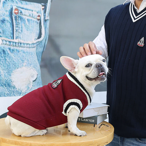 College Style Pet Sweater Winter Warm Dog Clothes for Small Medium Dogs Puppy Cat Chihuahua French Bulldog Yorkie Coat