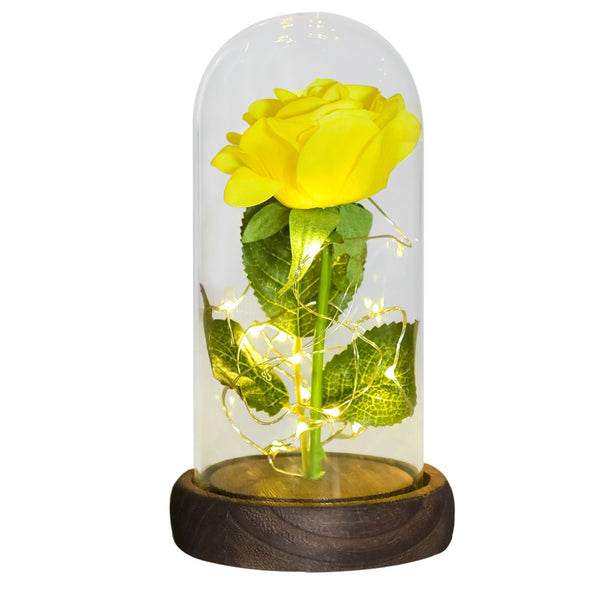 Gift for Mom Beauty and The Beast Preserved Roses In Glass Galaxy Rose Flower LED Light Artificial Flowers Gift for Women Girls